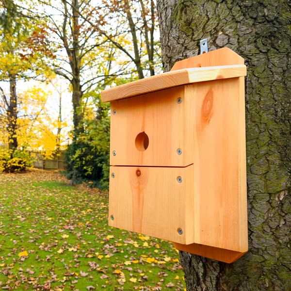 Pitched Camera Ready Nest Box