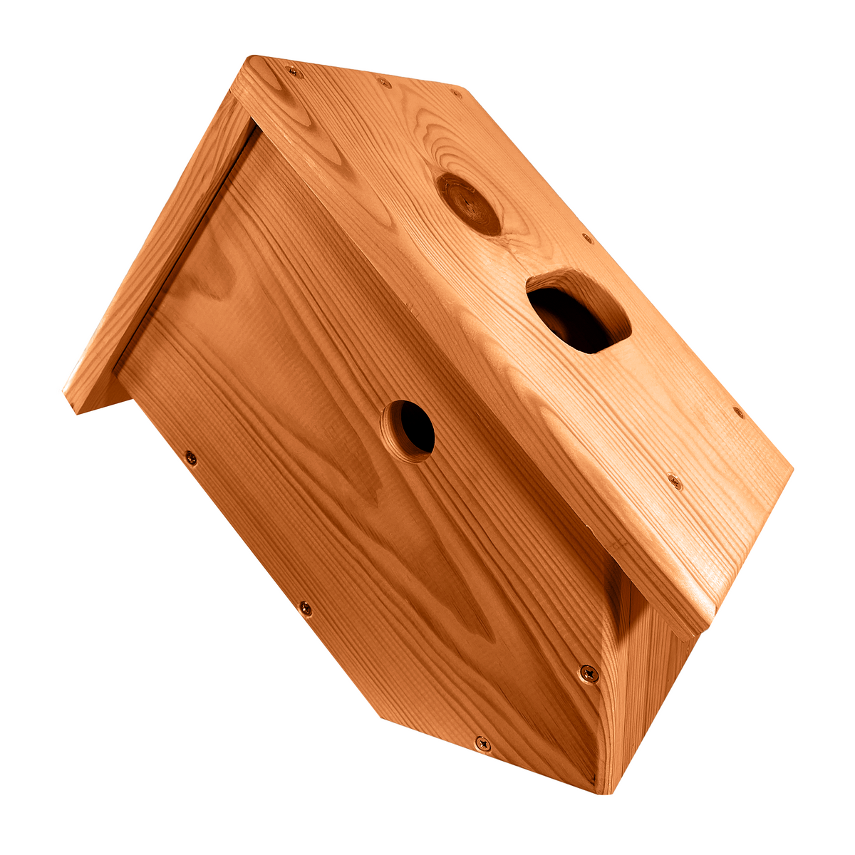 Side View Bird Box Camera Ready – FinchKam