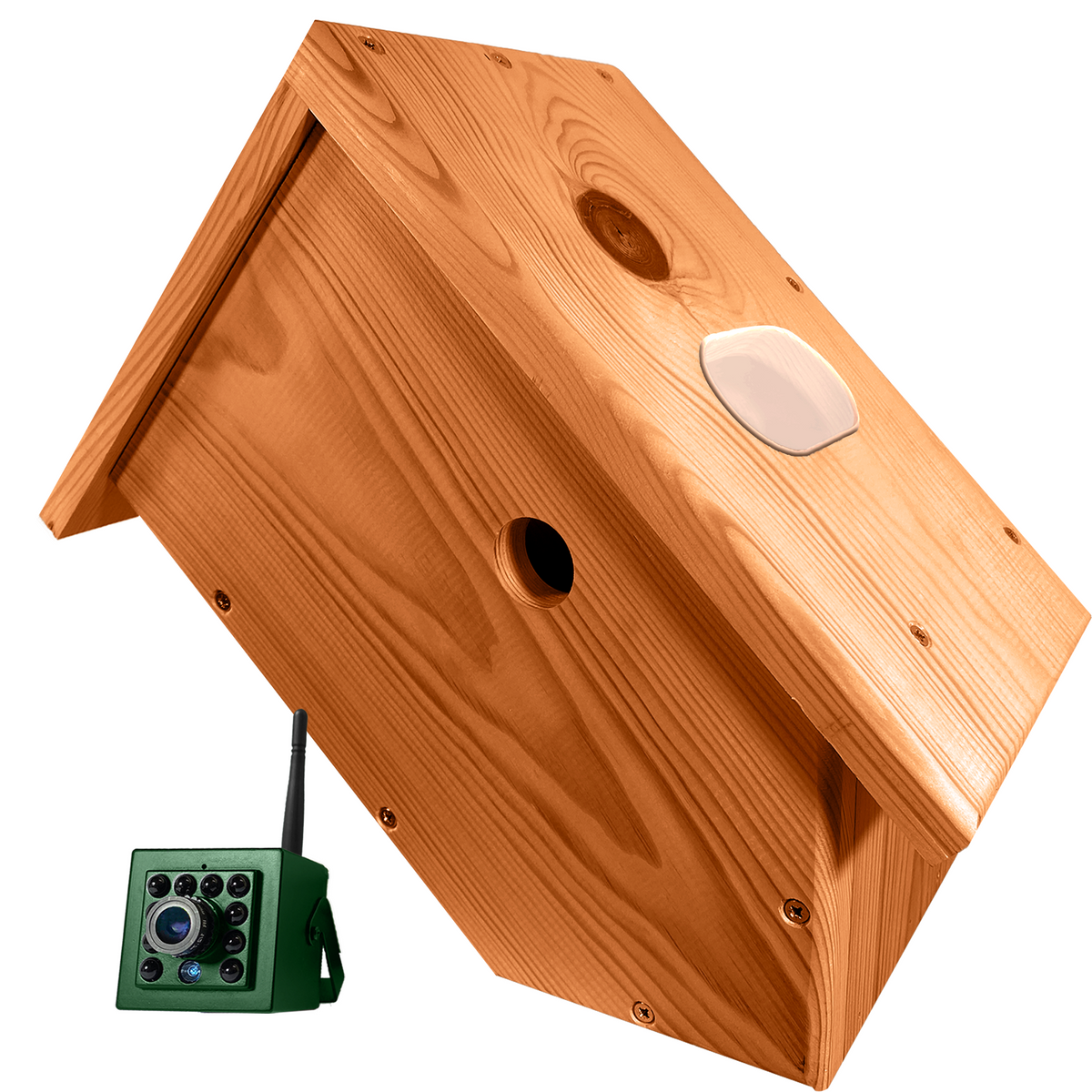 Side View Nest Box With WiFi Camera – FinchKam