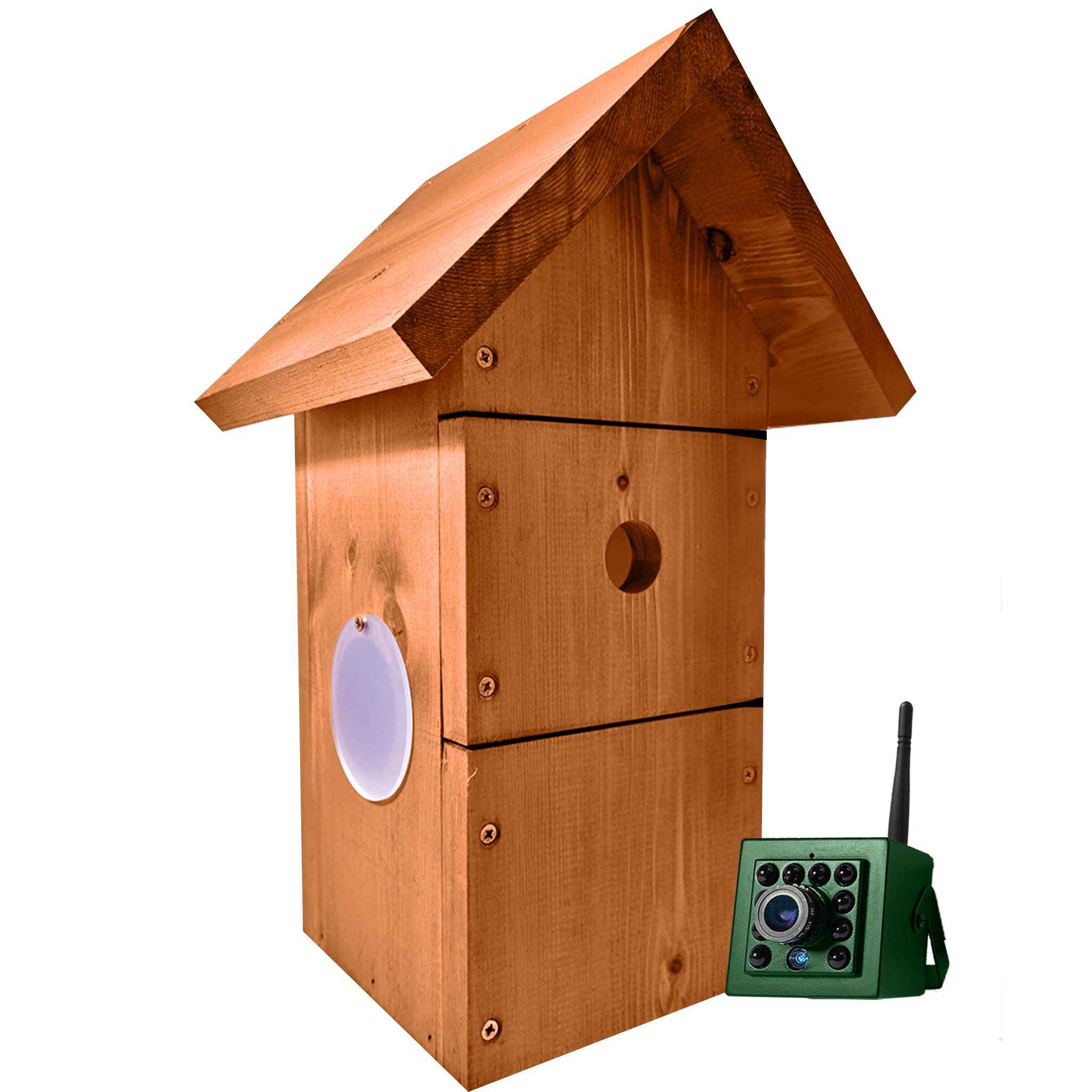 Wifi bird box hotsell