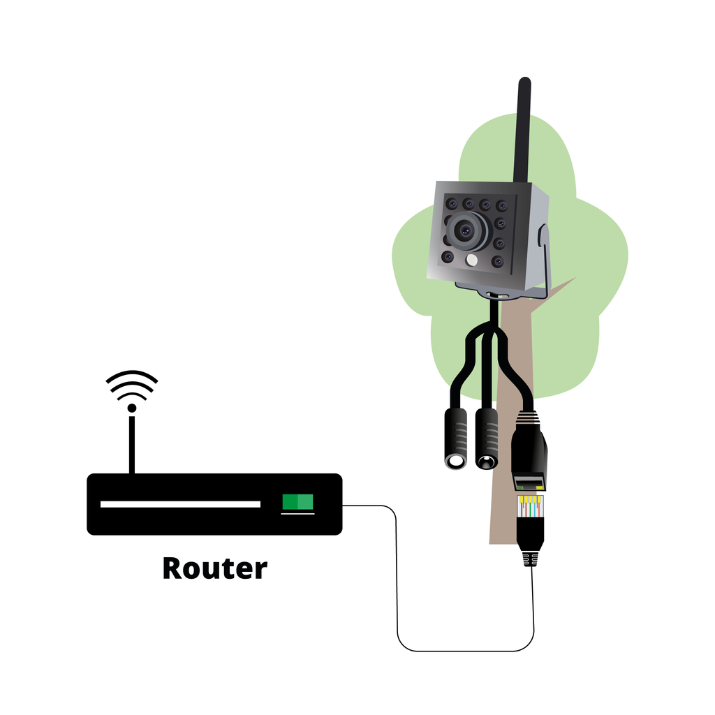 Hedgehog Router WiFi Camera Hedgehog Home – FinchKam
