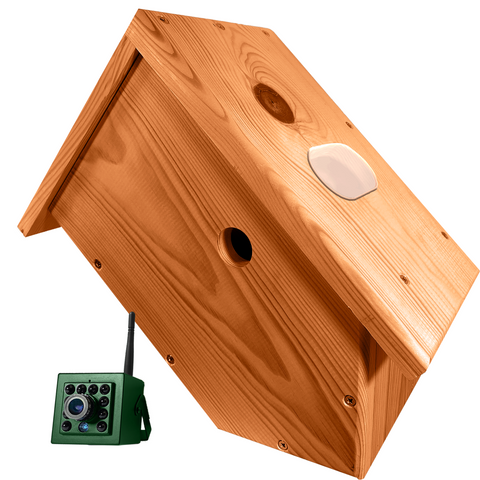 Side View Nest Box With WiFi Camera